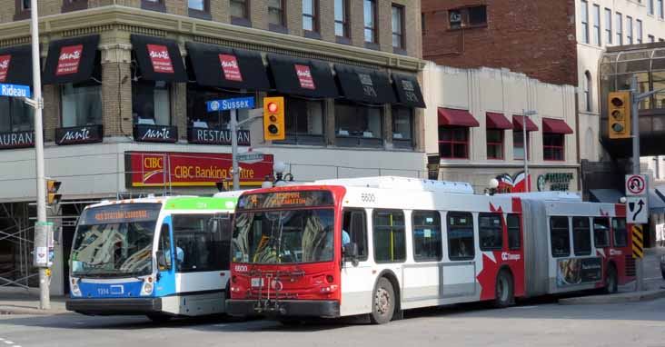 STO NovaBus 1314 & OC Transpo New Flyer D60LFR 6600